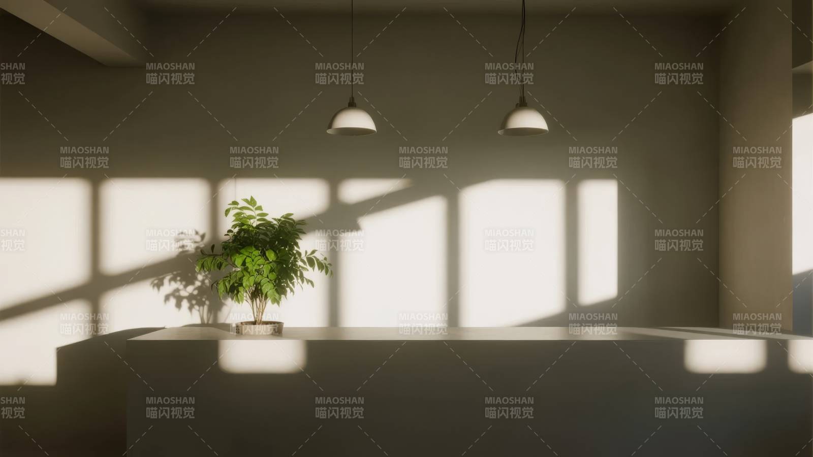 光影中的绿植静谧图片