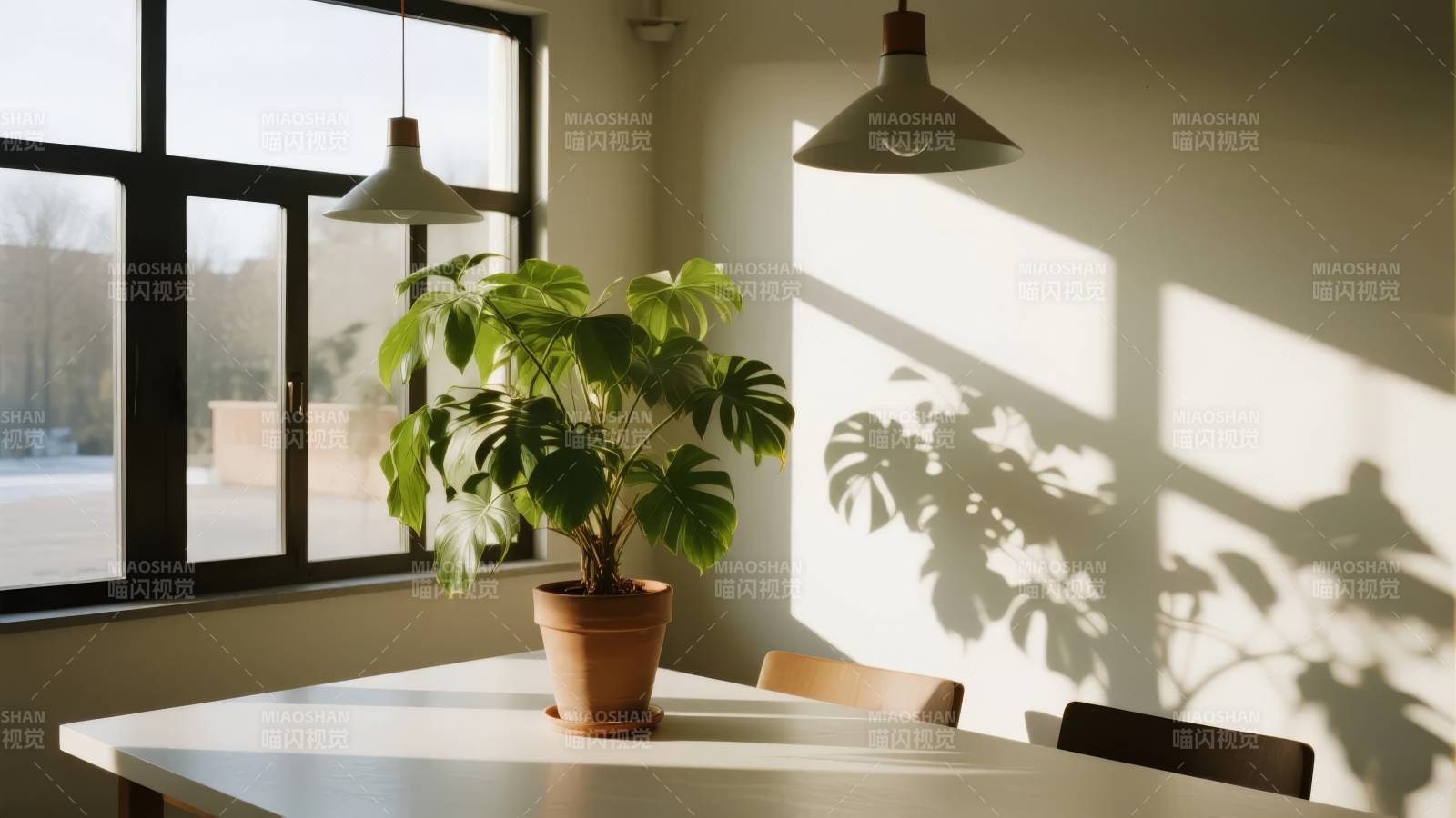 窗边绿植光影图片