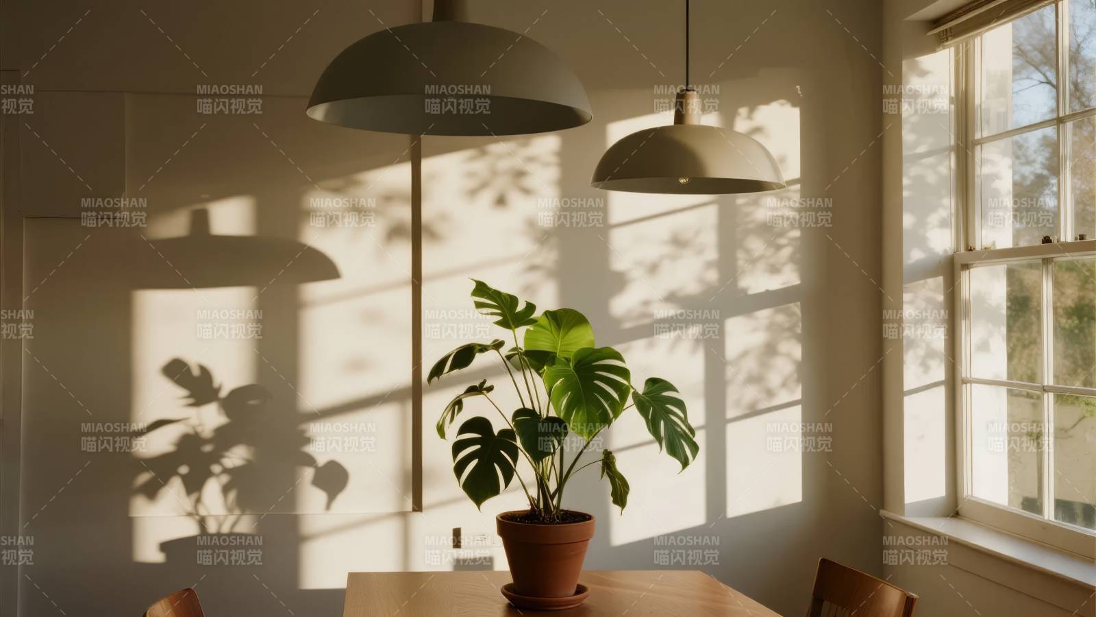 光影中的绿植静谧图片