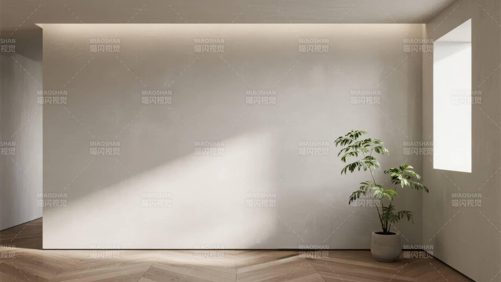 简约光影绿植角落图片