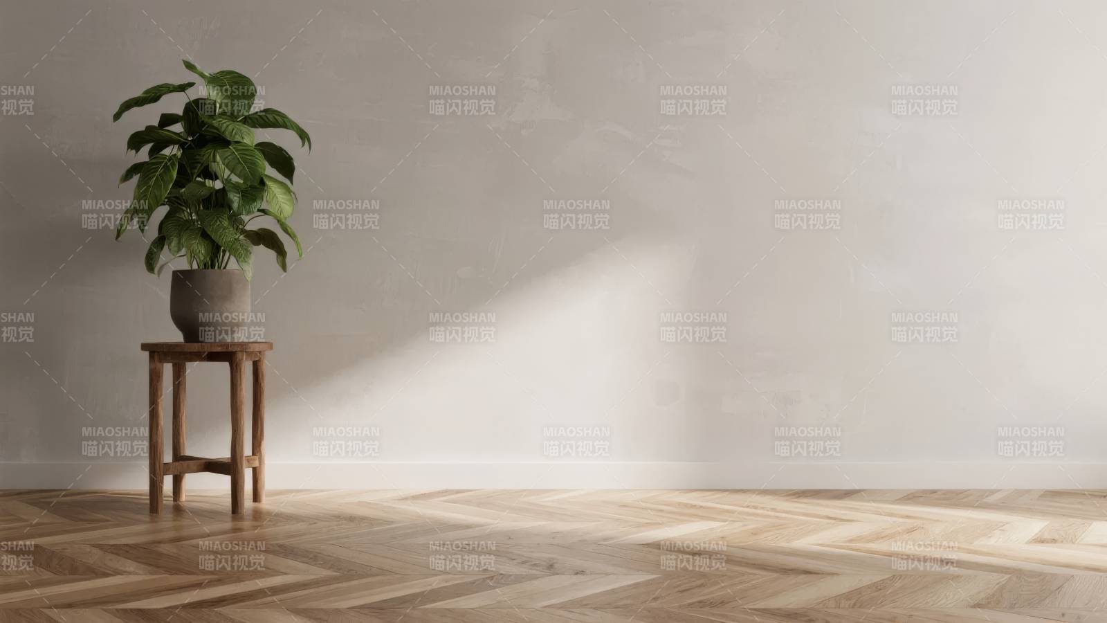 绿植静谧角落图片