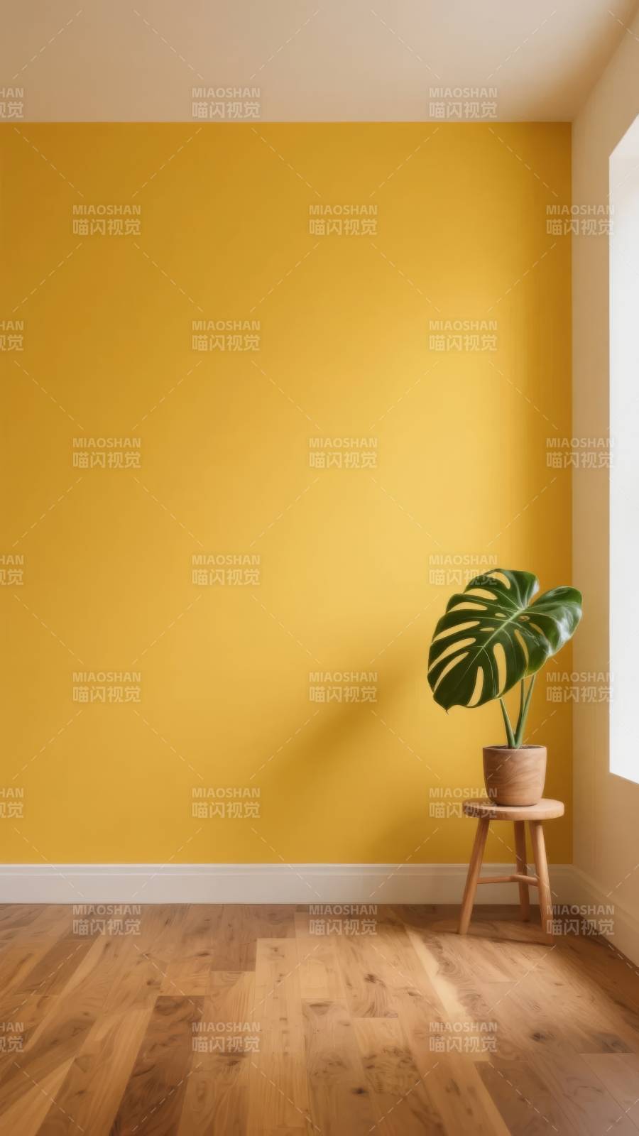 黄墙绿植静谧角图片