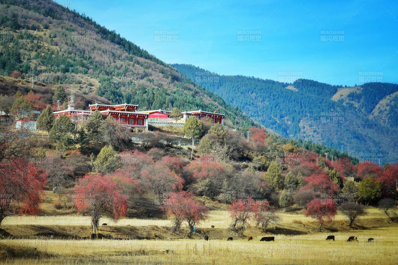 山间秋色如画图片