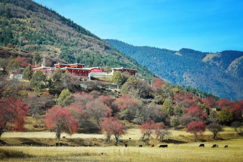 山间秋色如画图片