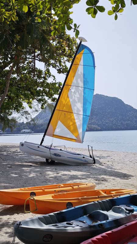 海滩上的帆船与皮划艇图片