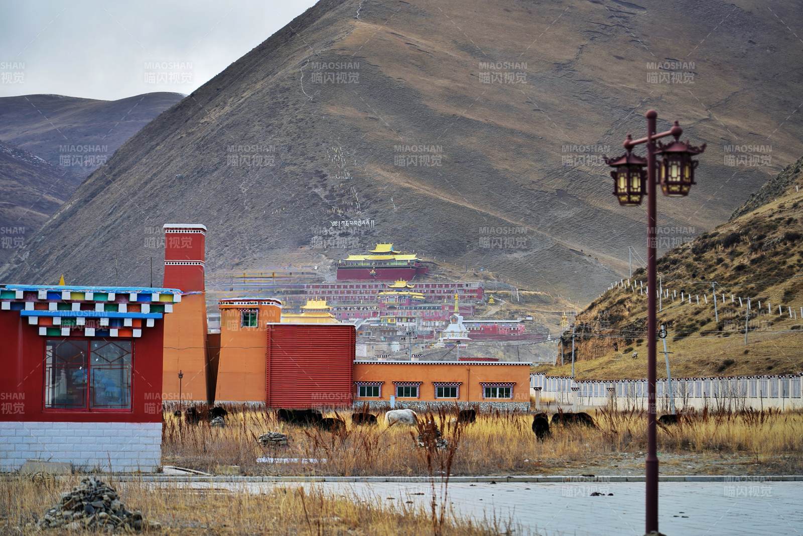 高原藏式建筑群图片