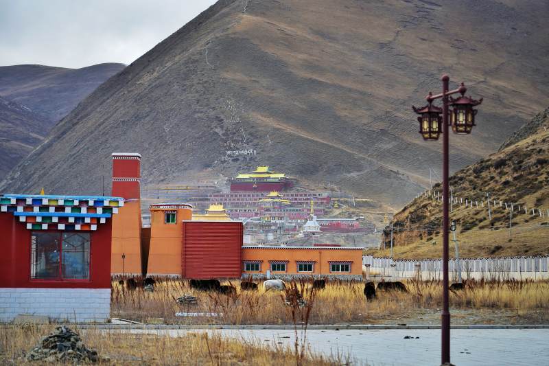 高原藏式建筑群图片