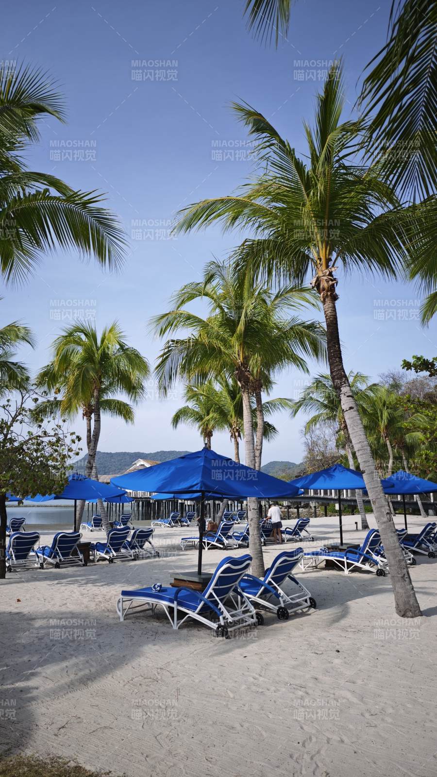 椰林沙滩休闲区图片
