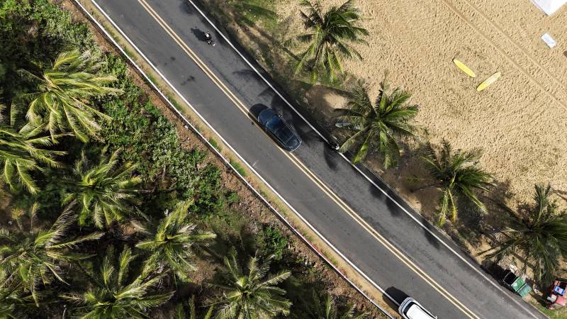 椰林公路航拍图片