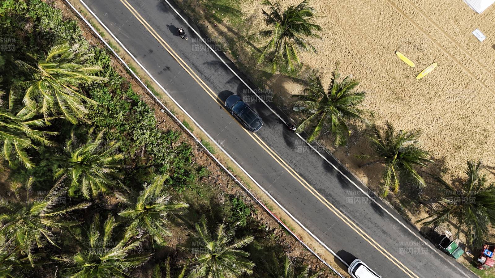 椰林公路航拍图片