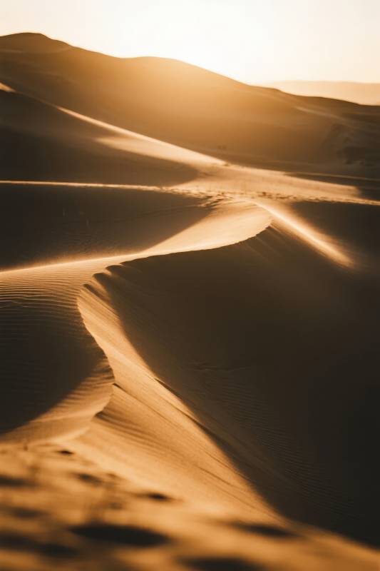 金色沙海日出图片