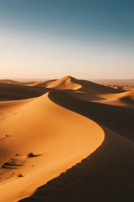 金色沙丘晨曦图片