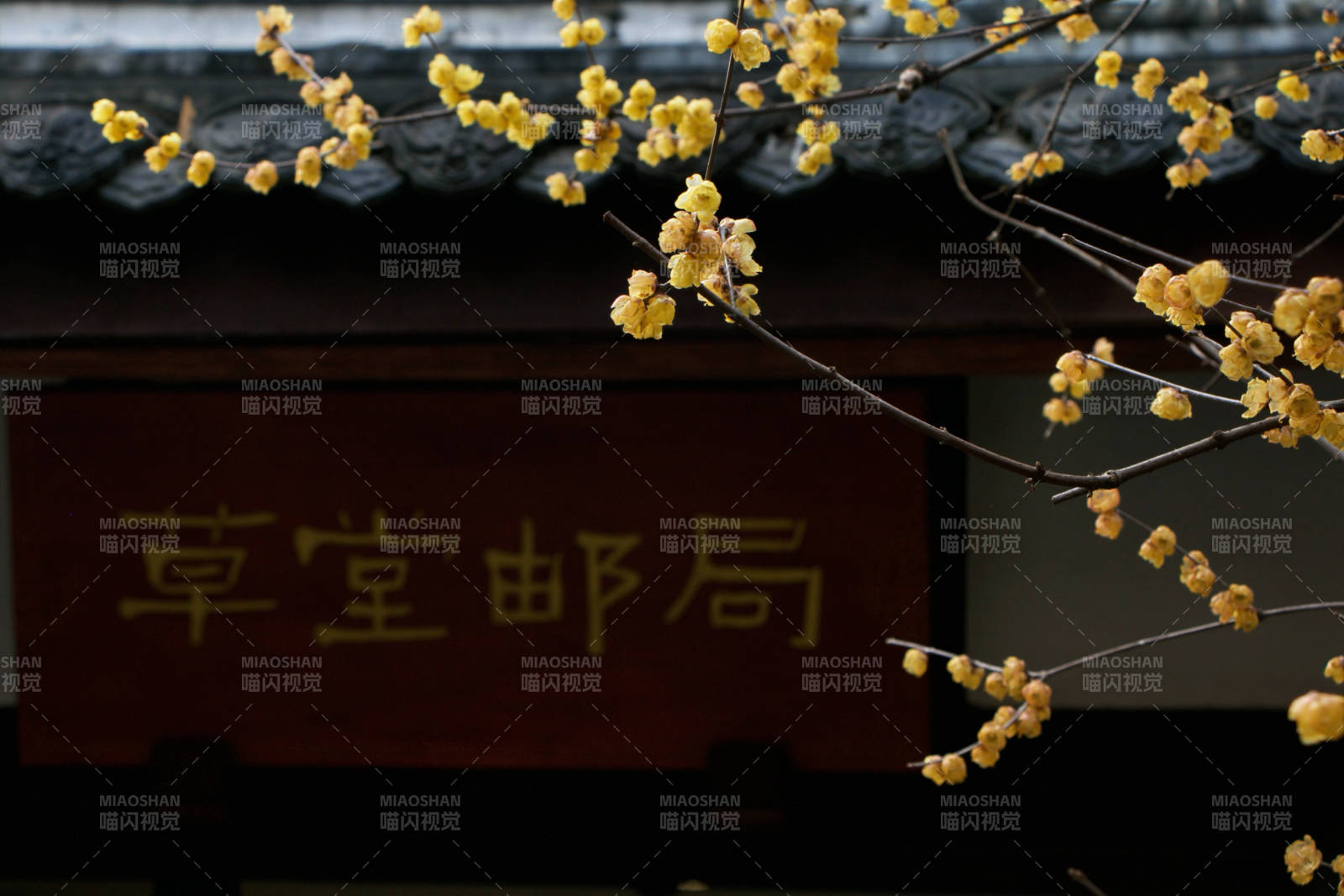 草堂邮局春意浓图片