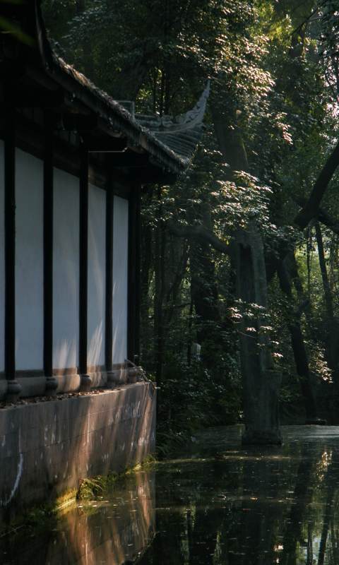 林间古屋静谧景图片