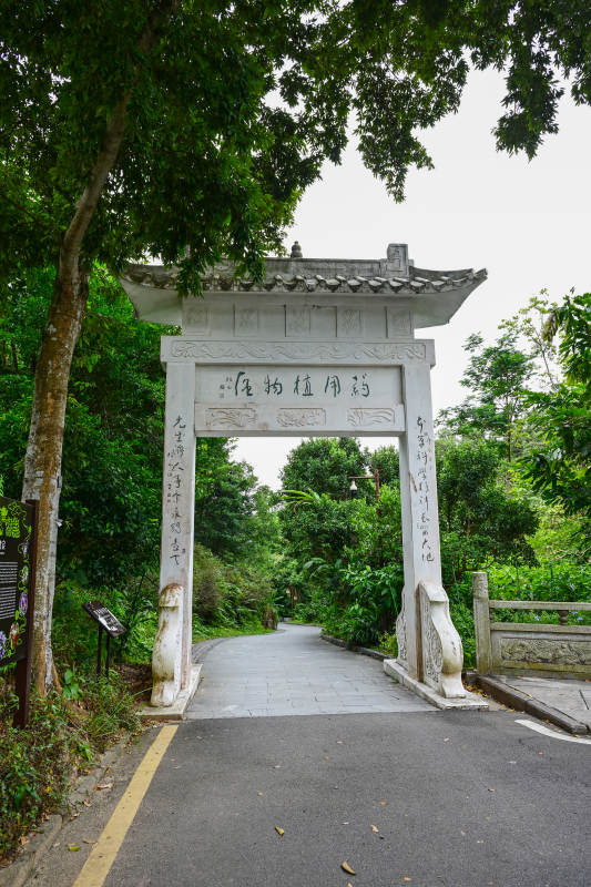 深圳仙湖植物园林荫道上的传统牌坊景观图片