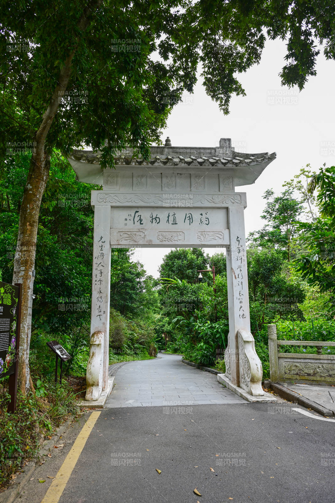深圳仙湖植物园林荫道上的传统牌坊景观图片