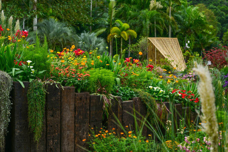 深圳仙湖植物园花展中花园花墙绿植景观图片