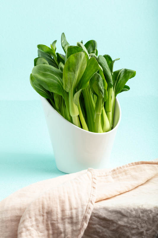 青菜盆栽 清新自然图片