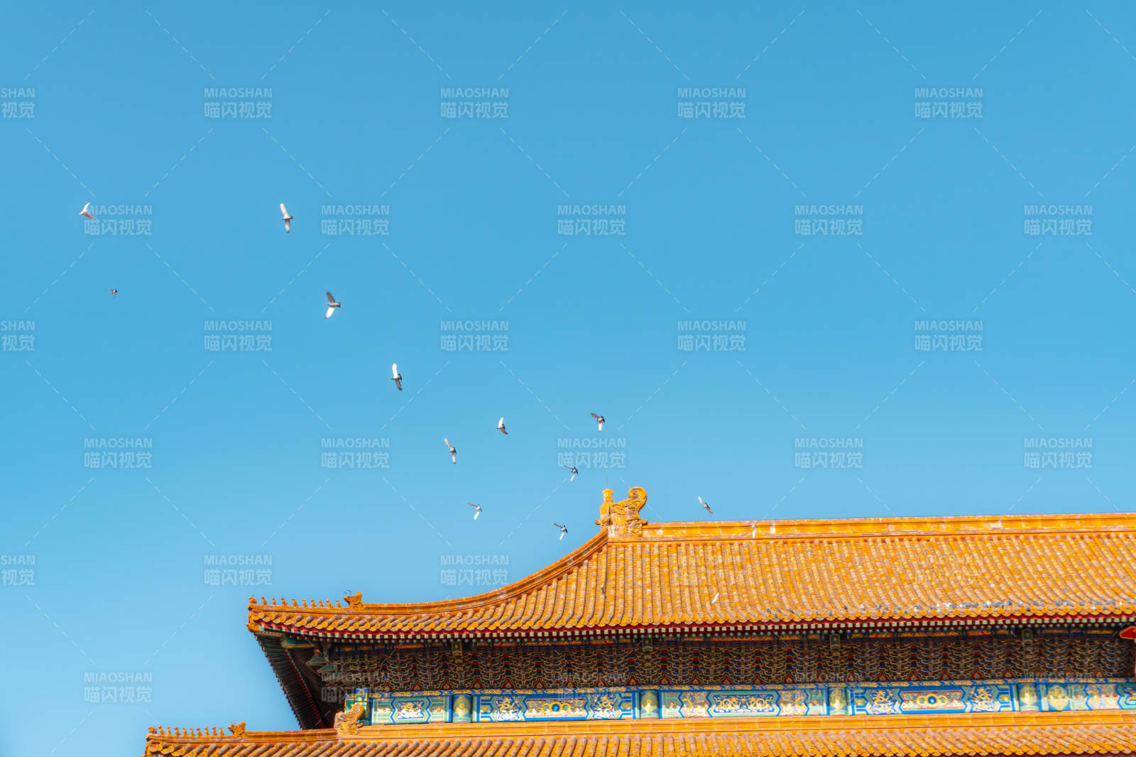 故宫飞鸟掠过古殿檐图片