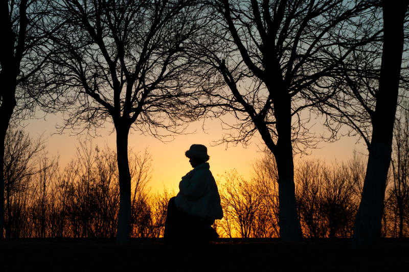 黄昏树影人 silhouette图片