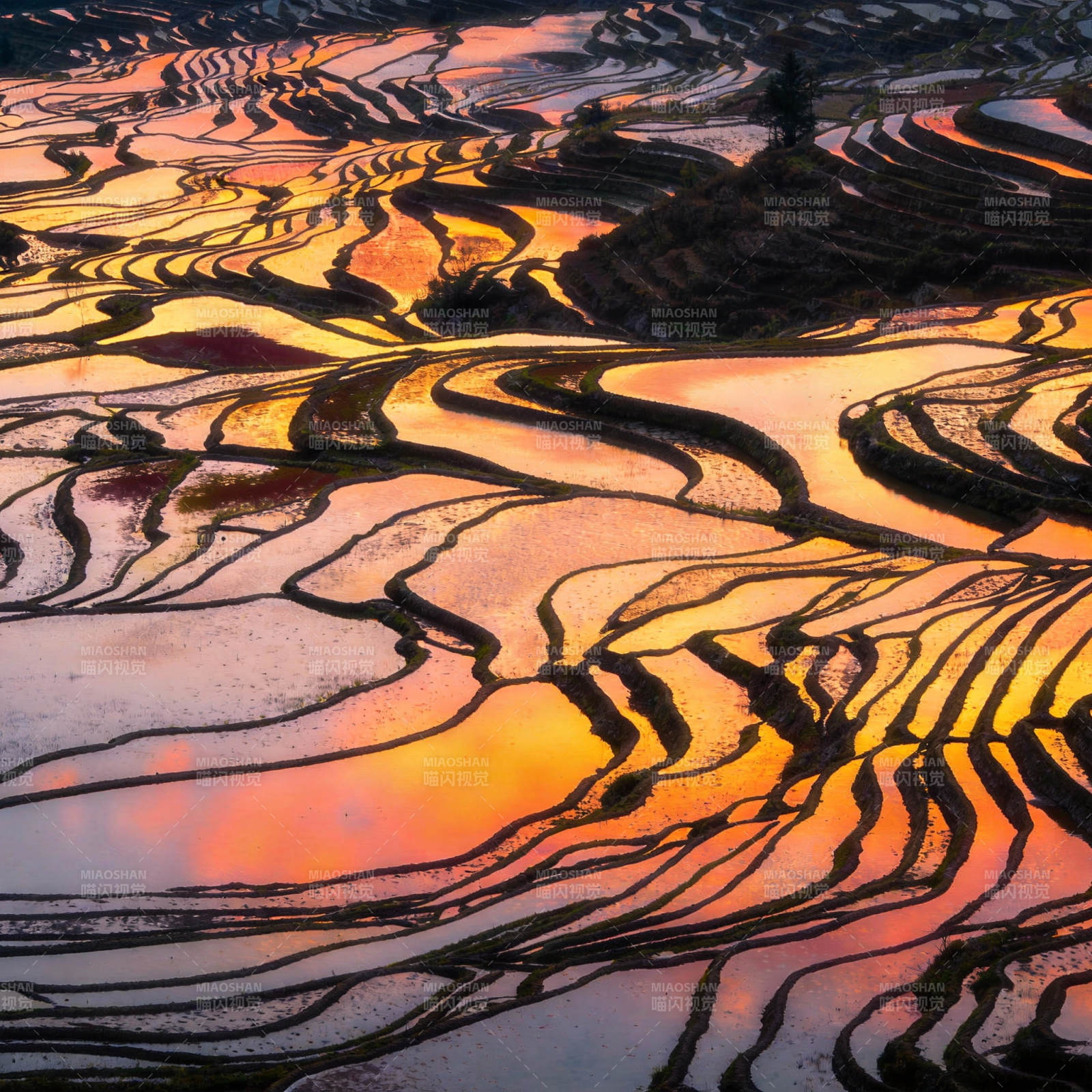 梯田晨曦图片