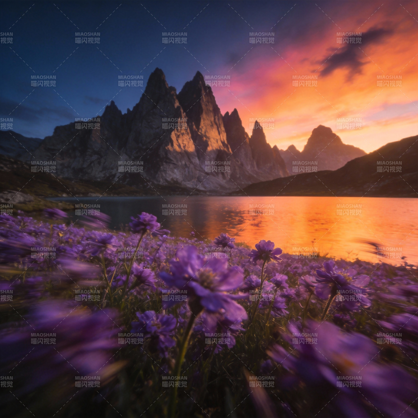 紫花映山湖日落图片