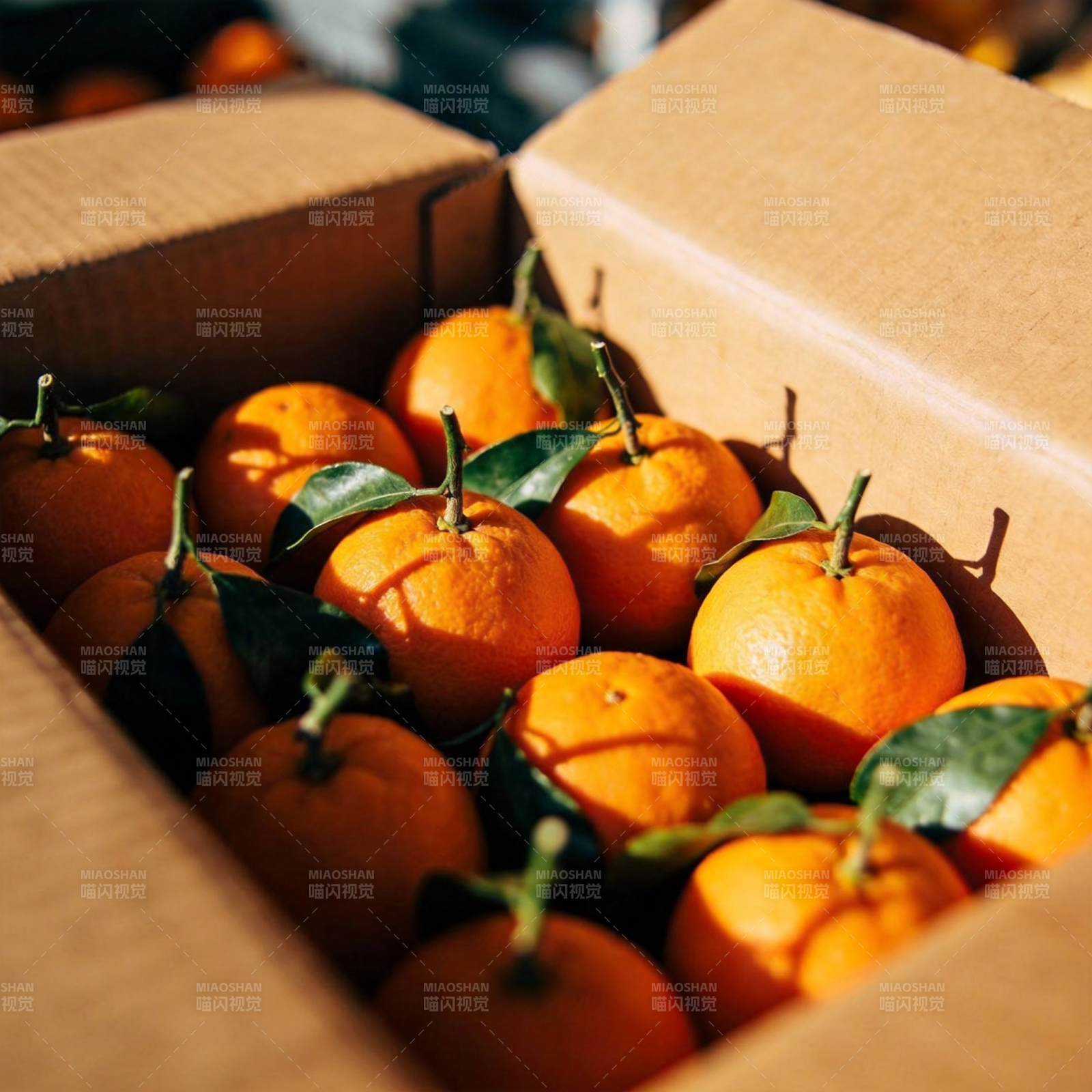 新鲜橙子装箱图片