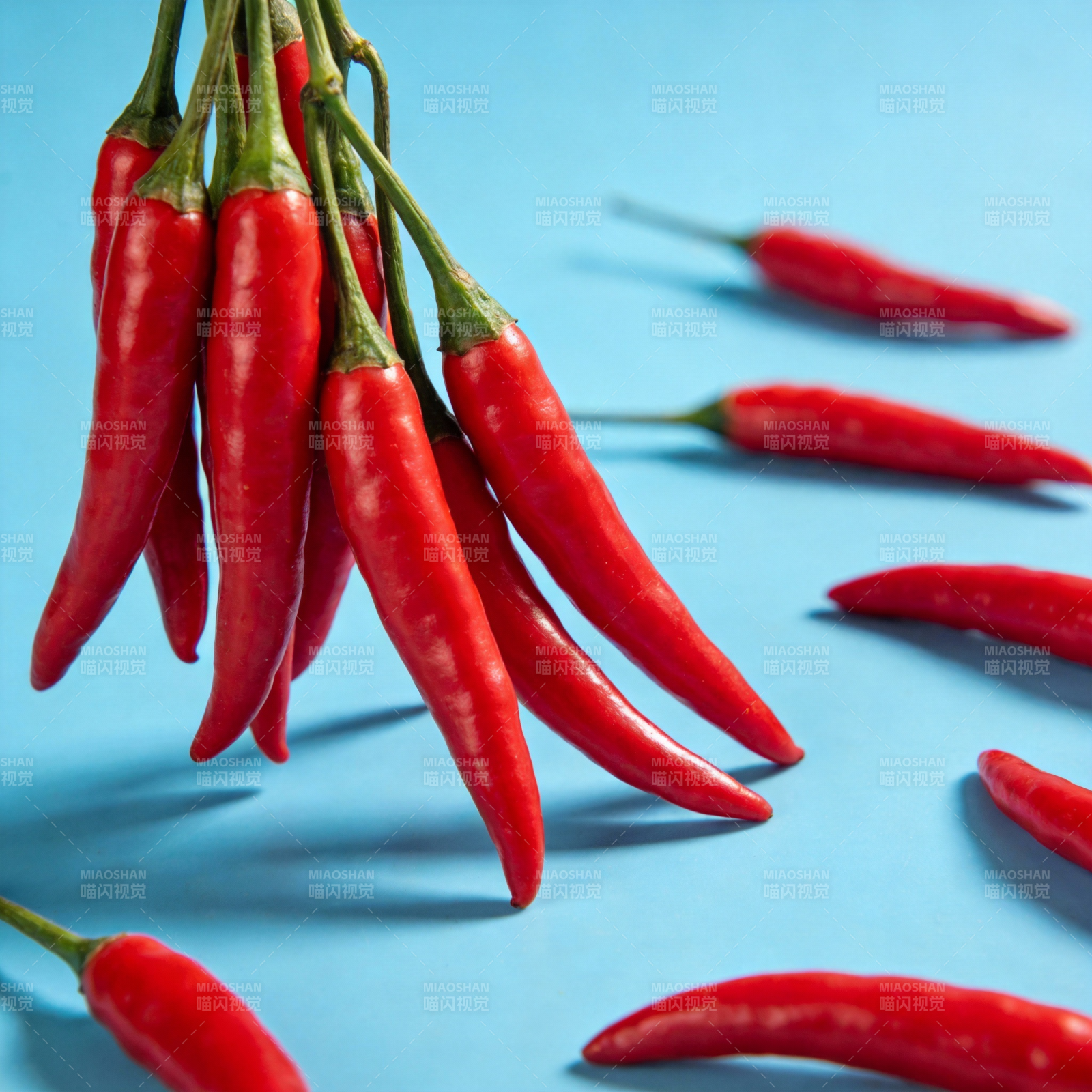 红辣椒挂枝头图片