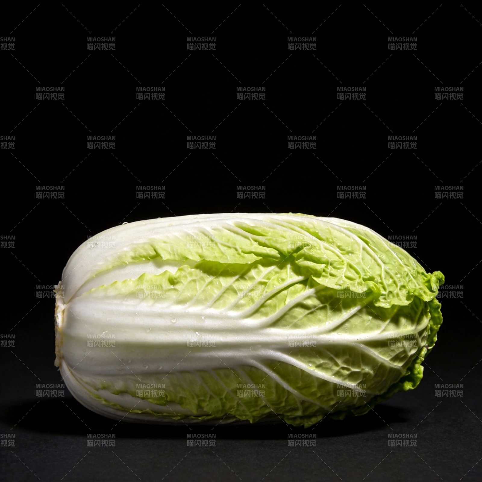 新鲜白菜特写图片