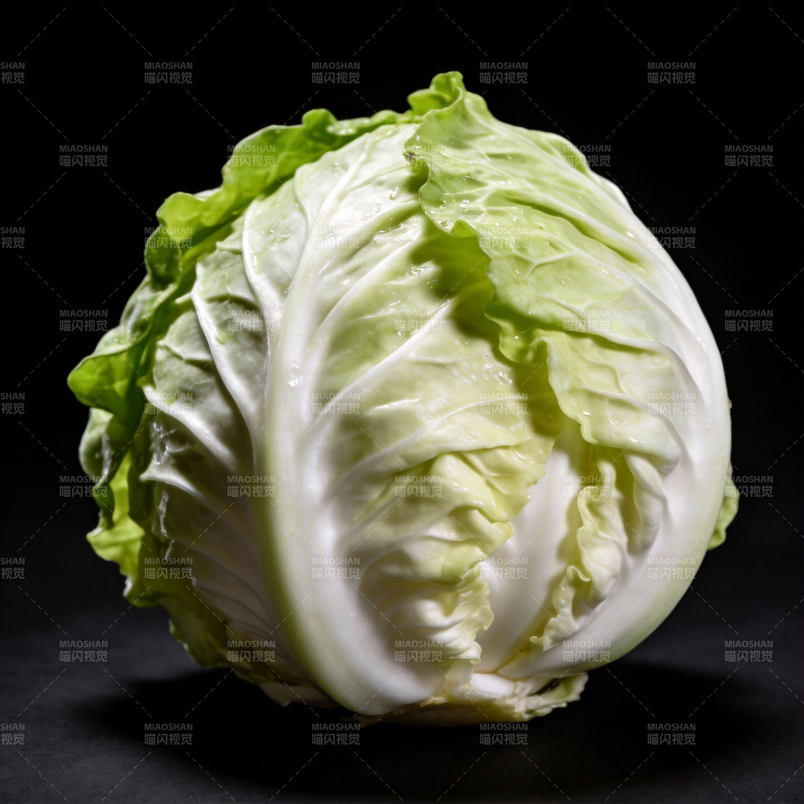 新鲜卷心菜特写图片