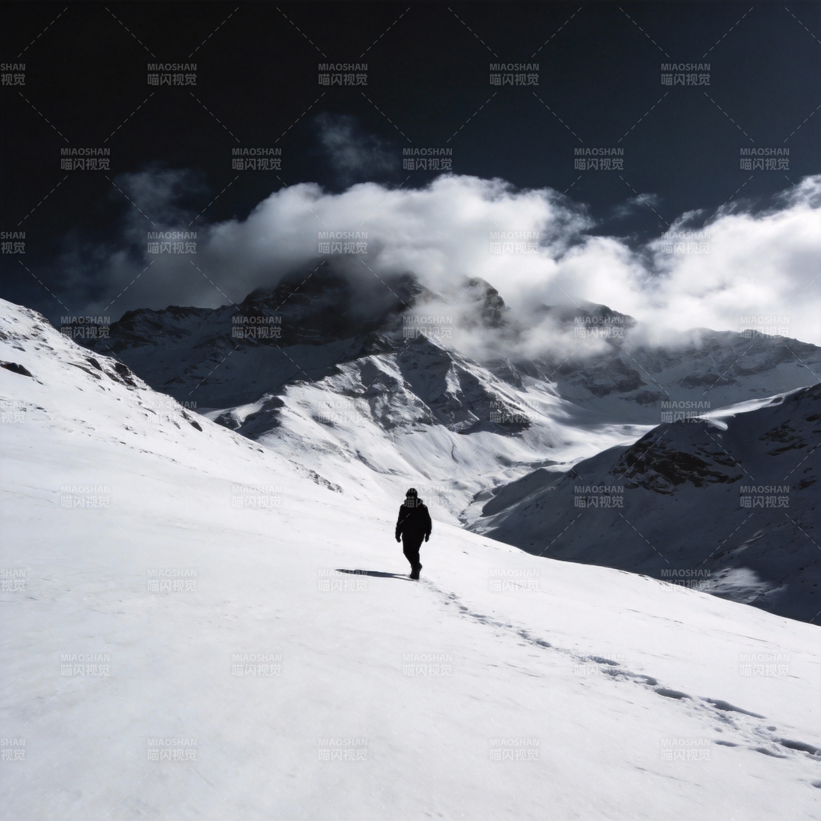 雪域孤行图片