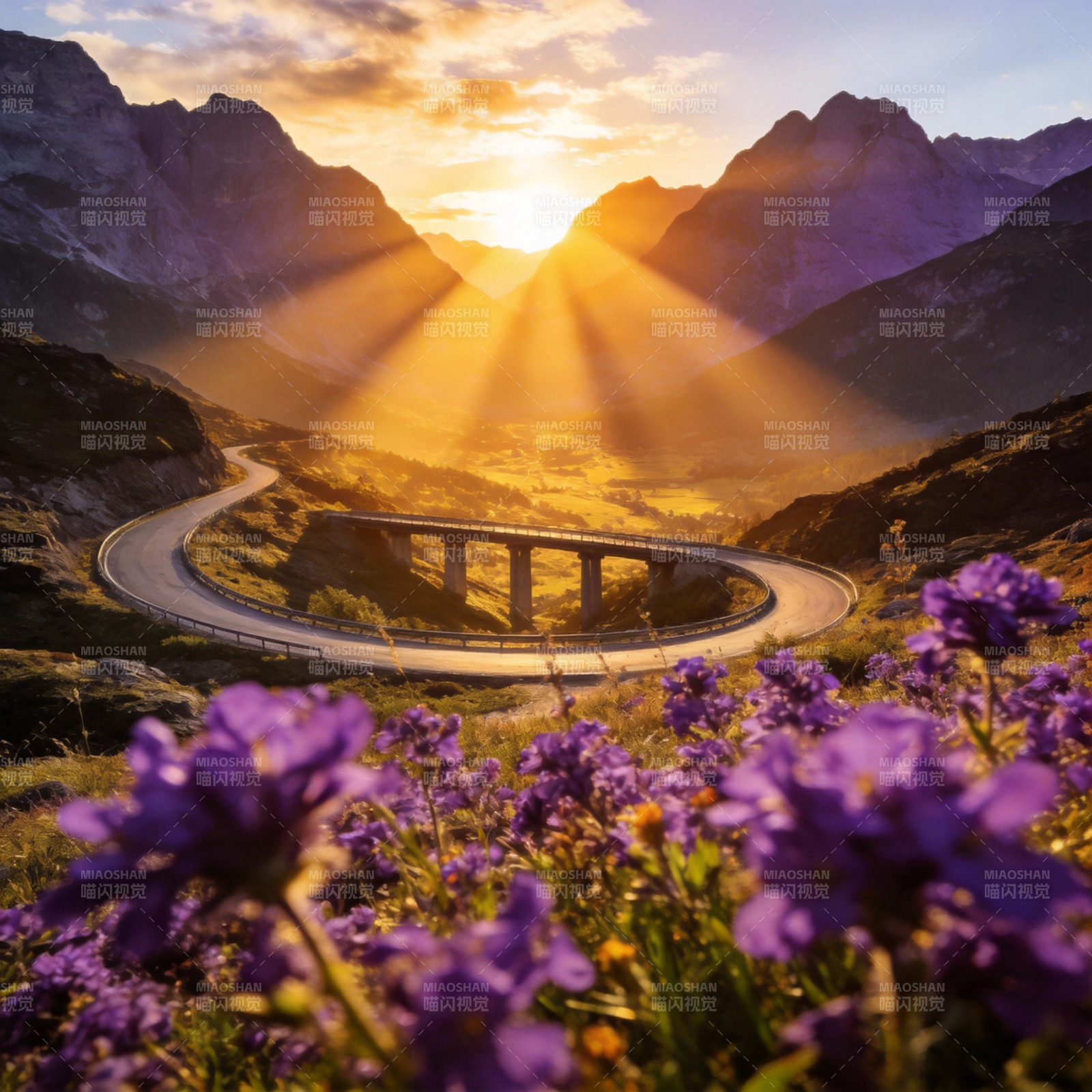 山间日出花路图片