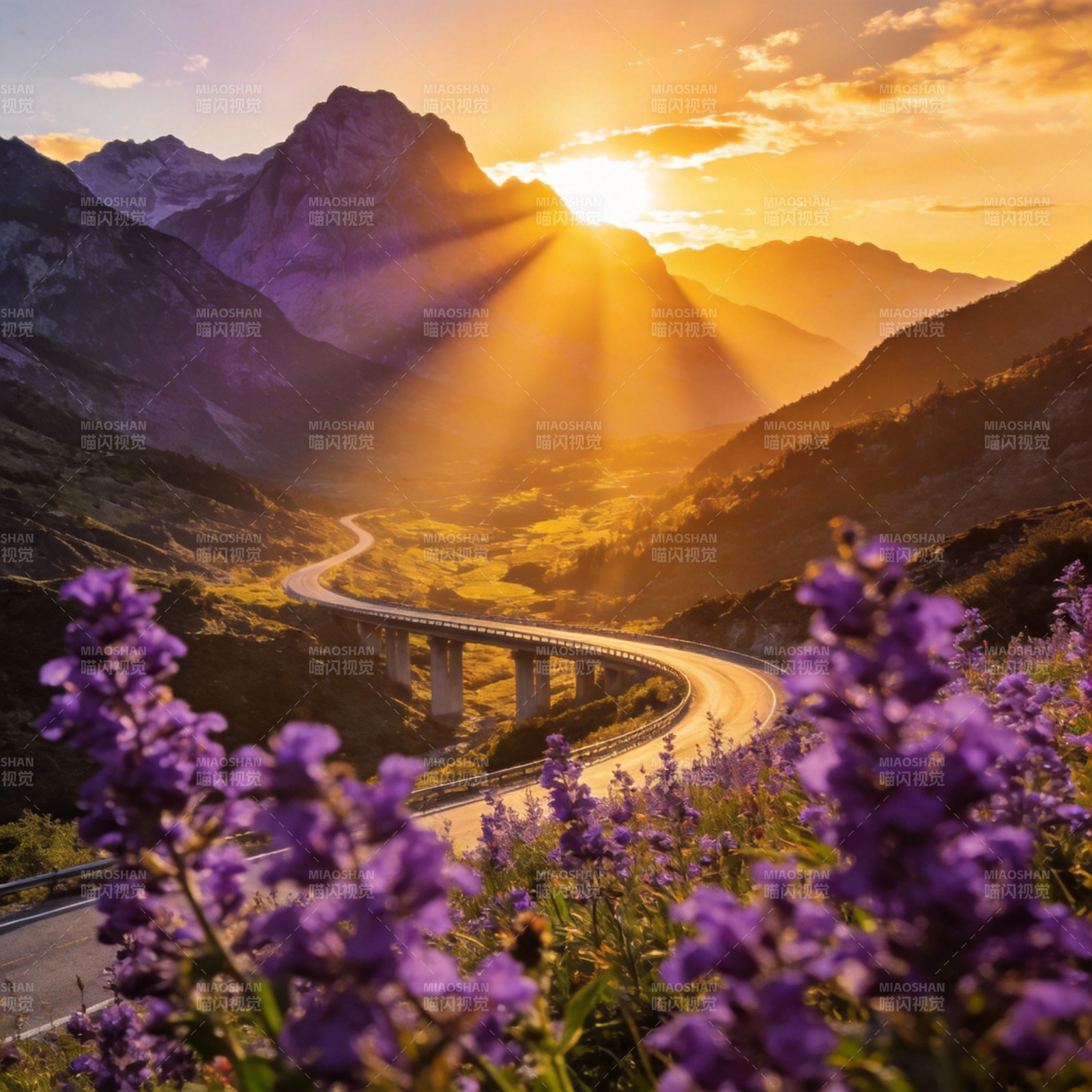 山间日出花路图片