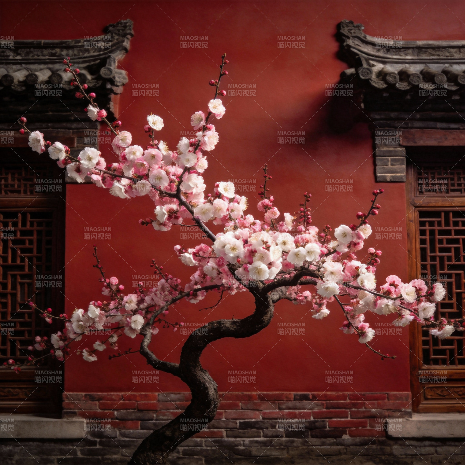 红墙梅影图片