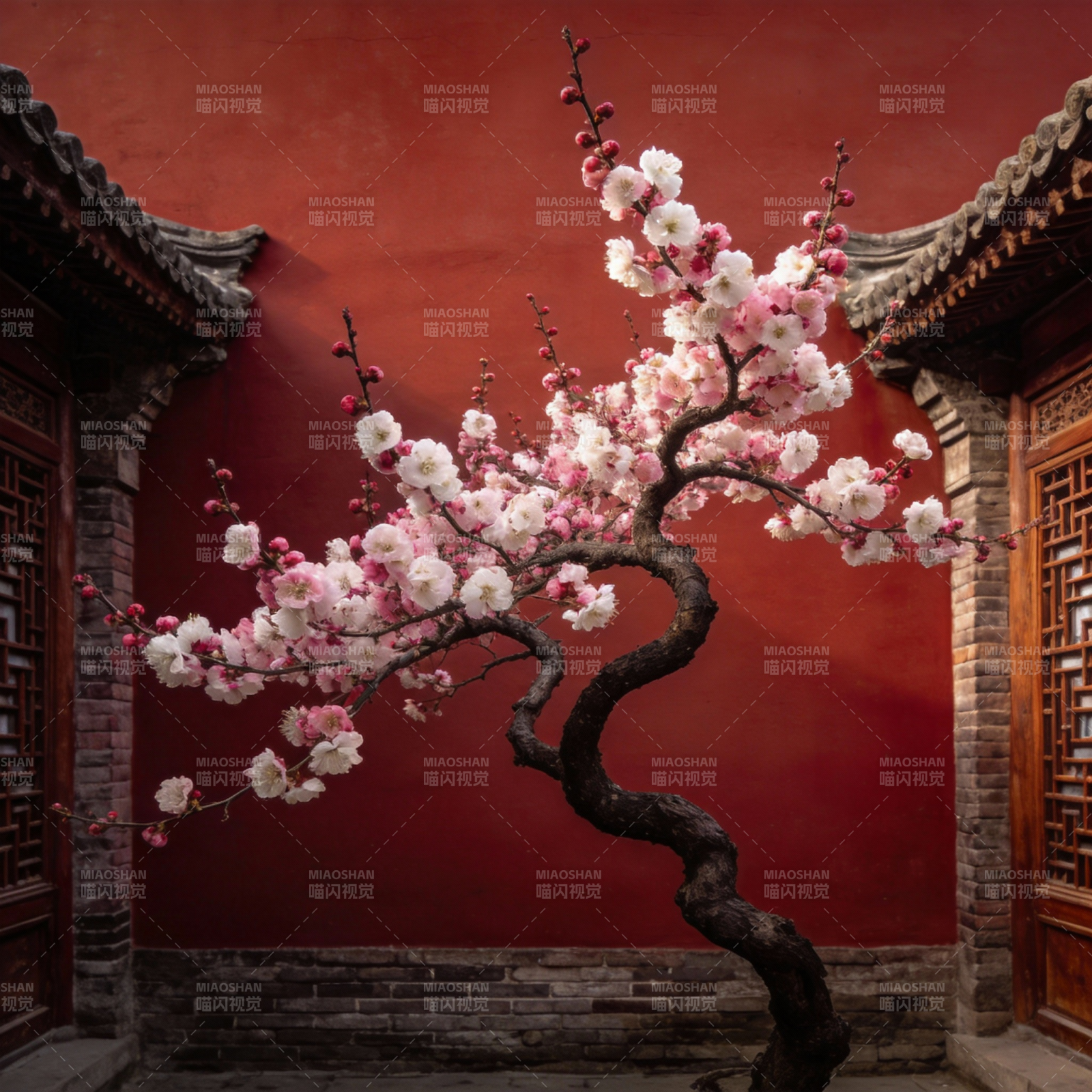 红墙梅影图片