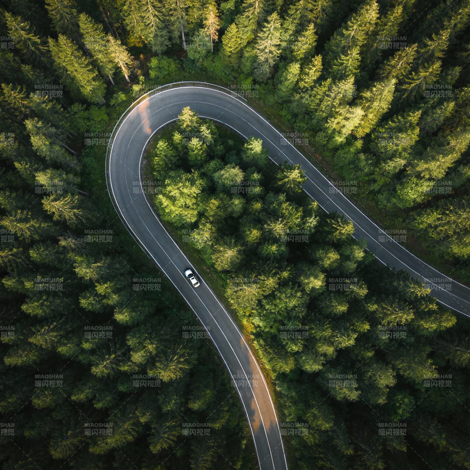 林间蜿蜒路图片