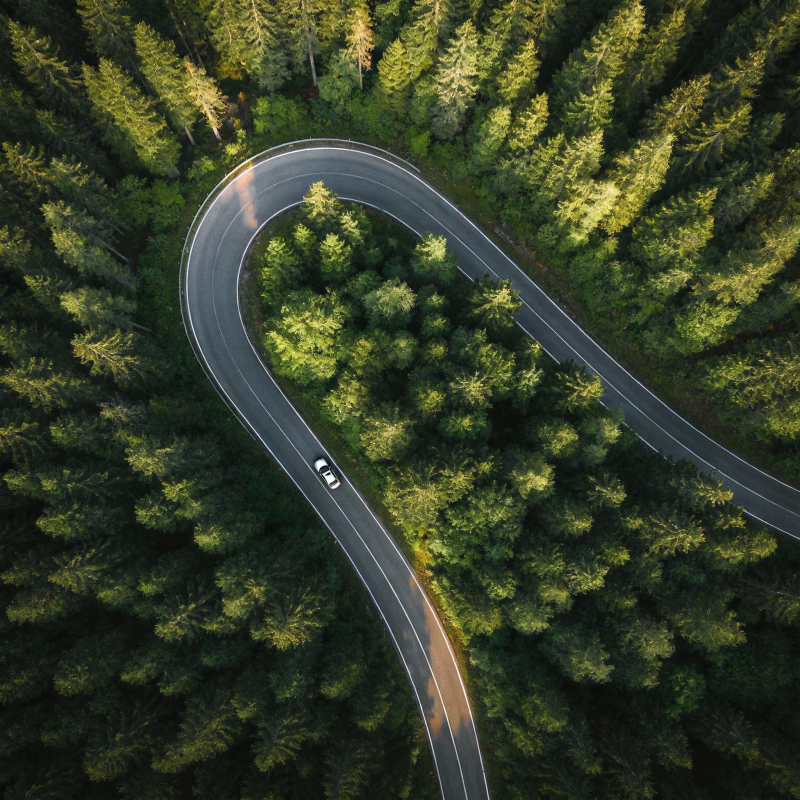 林间蜿蜒路图片