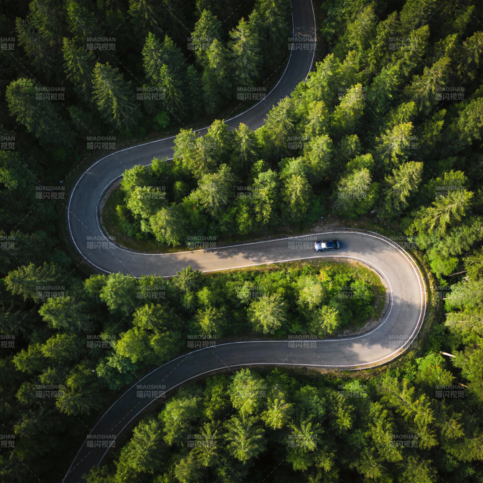 林间蜿蜒路图片