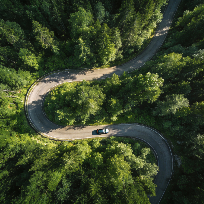 林间蜿蜒路图片