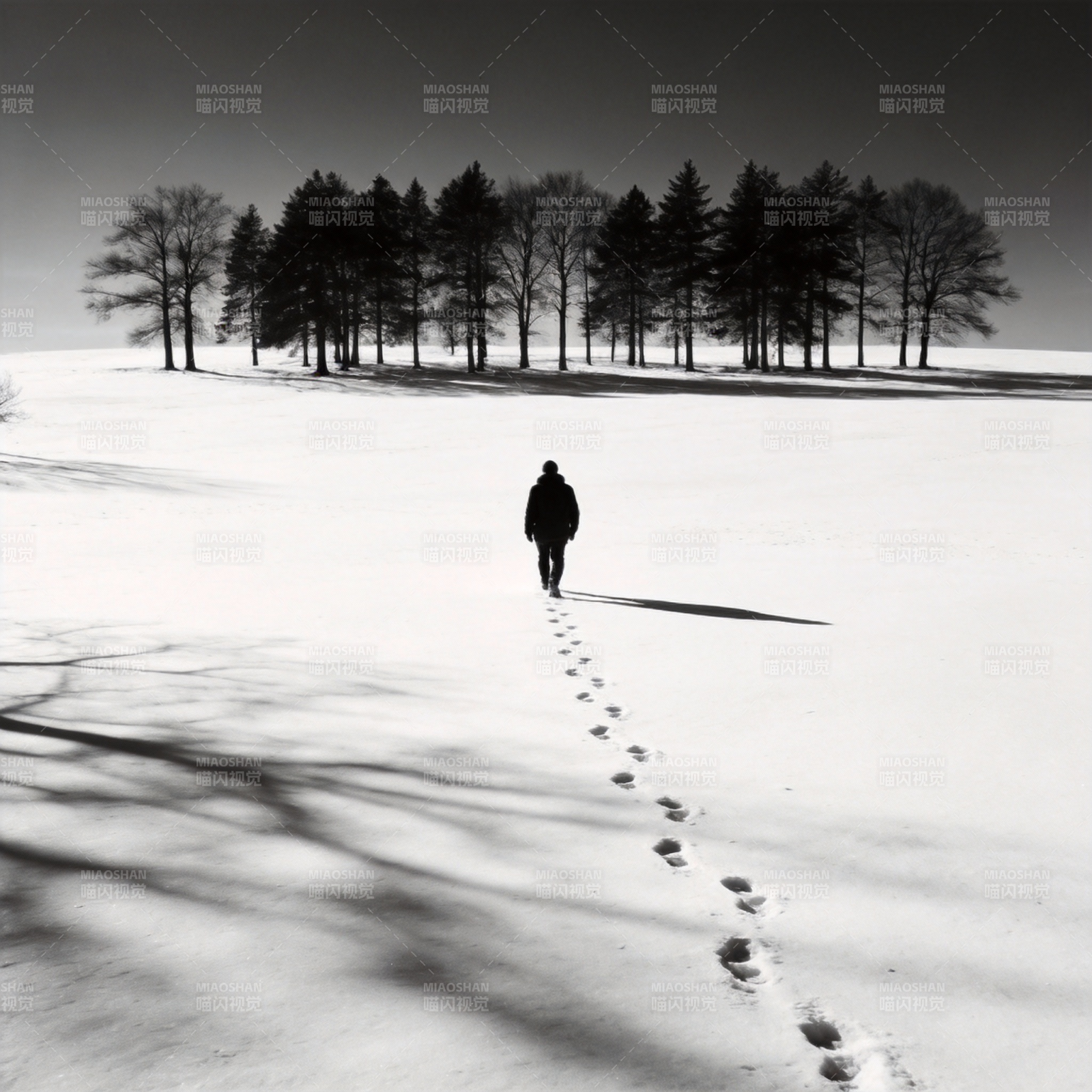 雪径独行图片