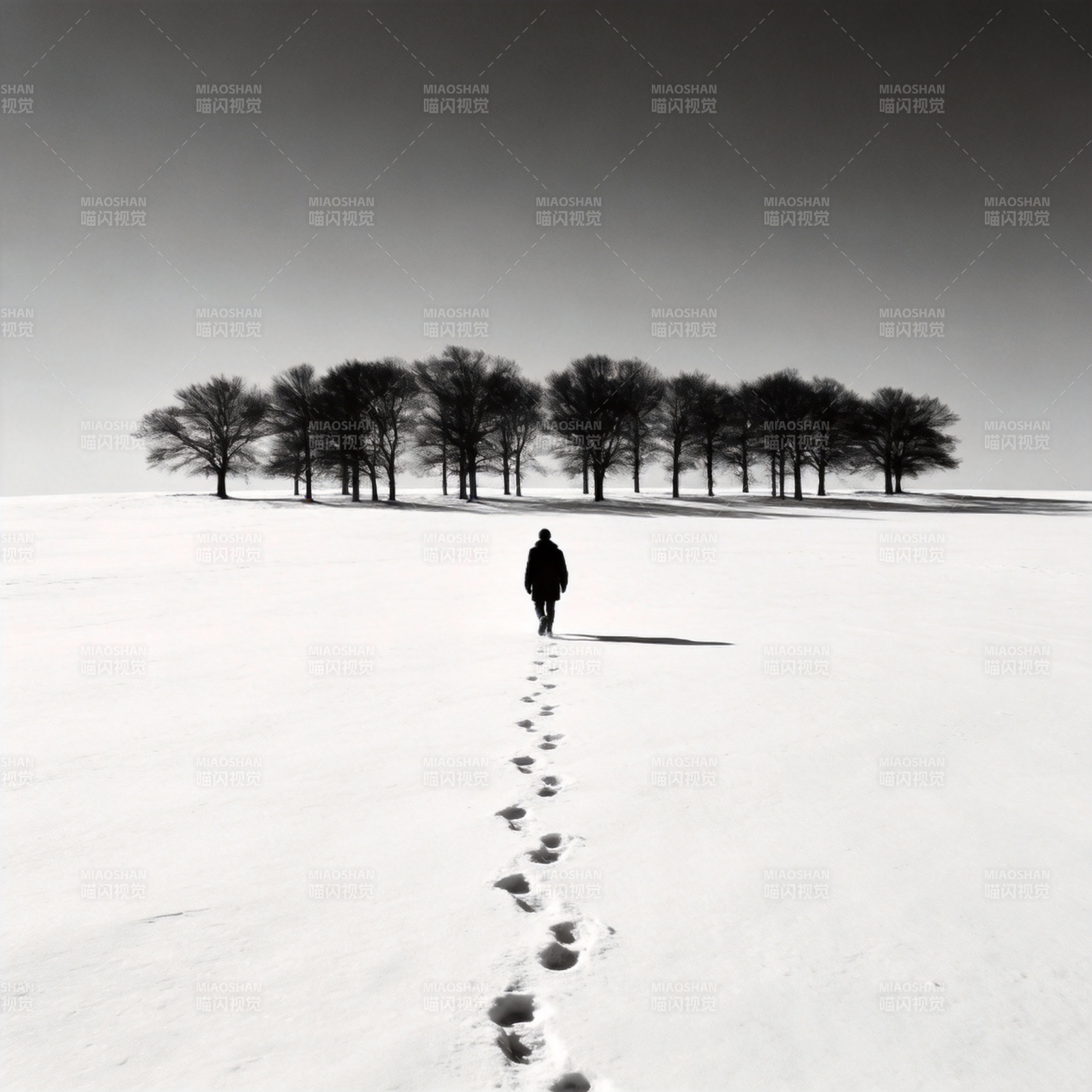雪原独行图片