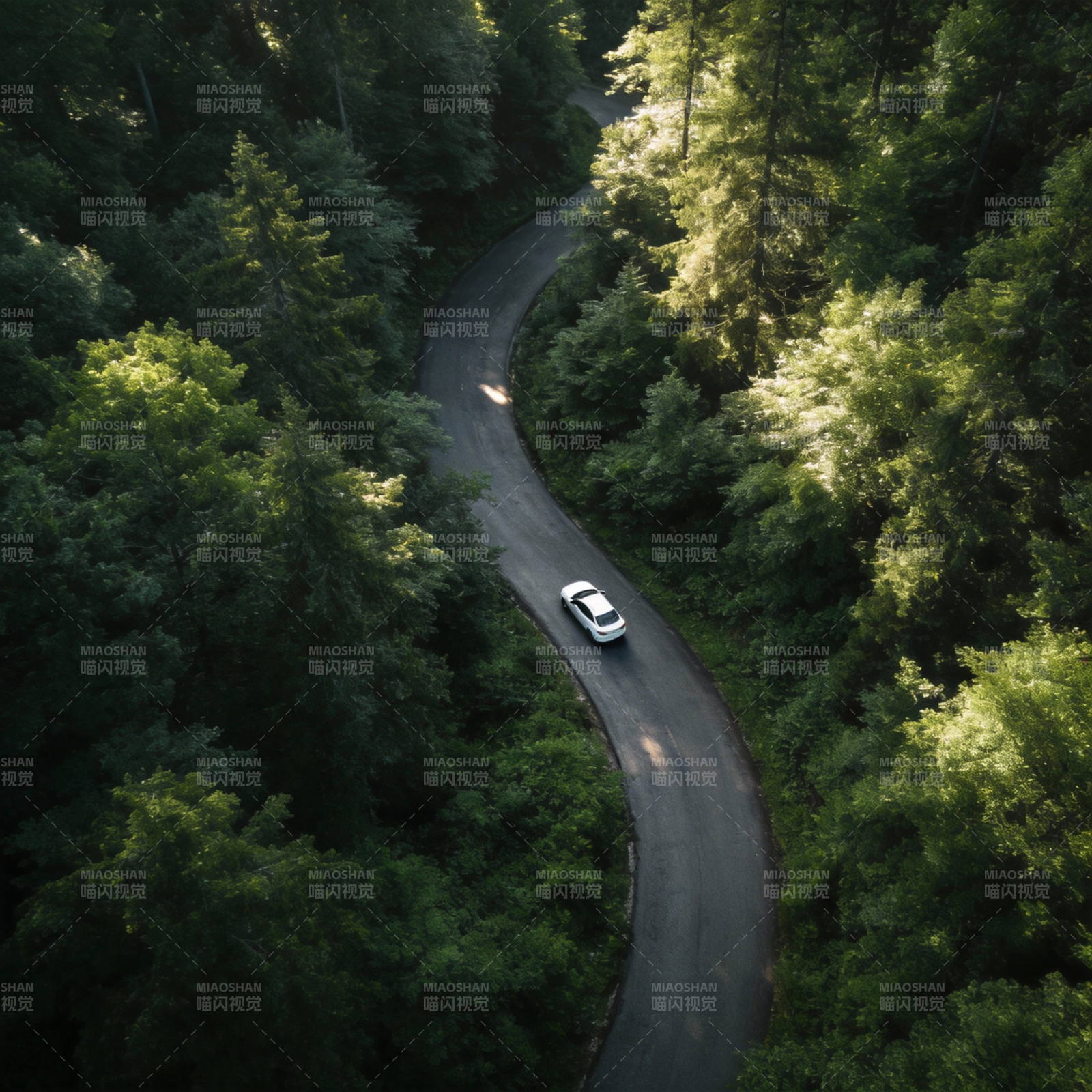 林间蜿蜒路车行图片