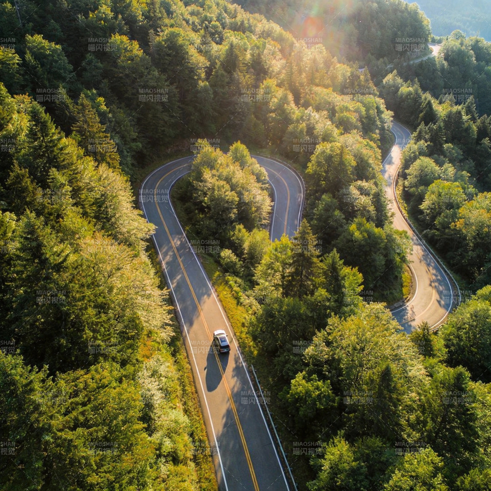 林间蜿蜒公路图片