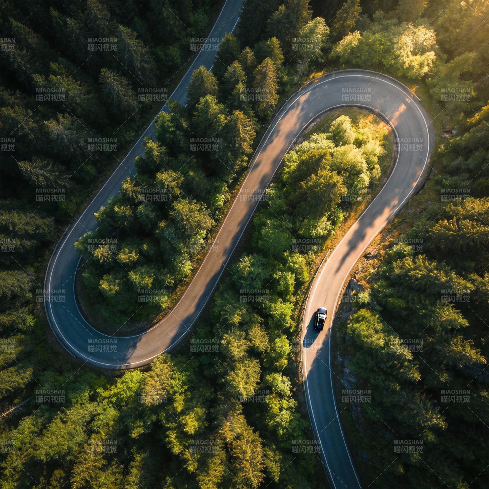 林间蜿蜒路图片