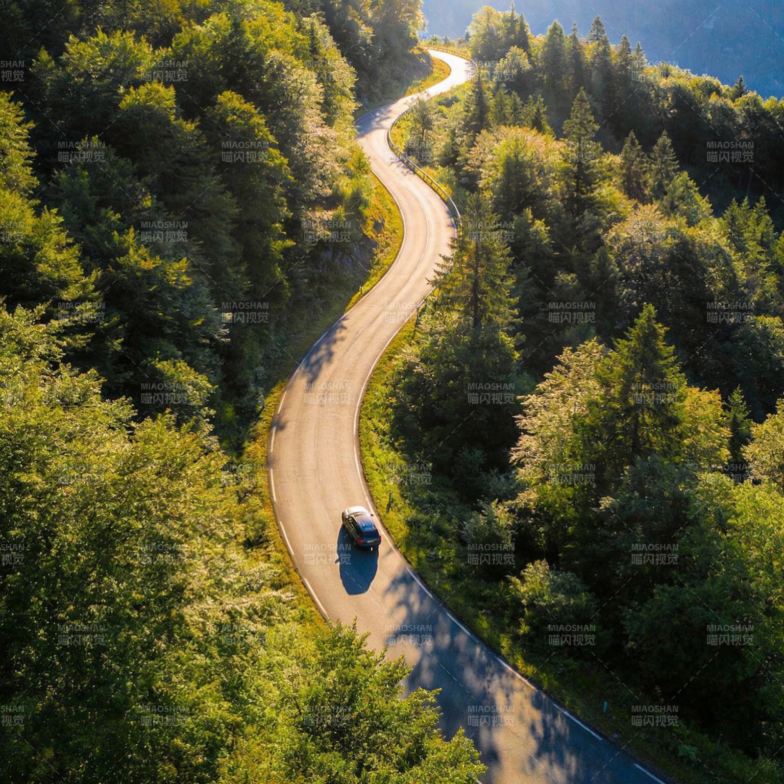 林间蜿蜒公路图片