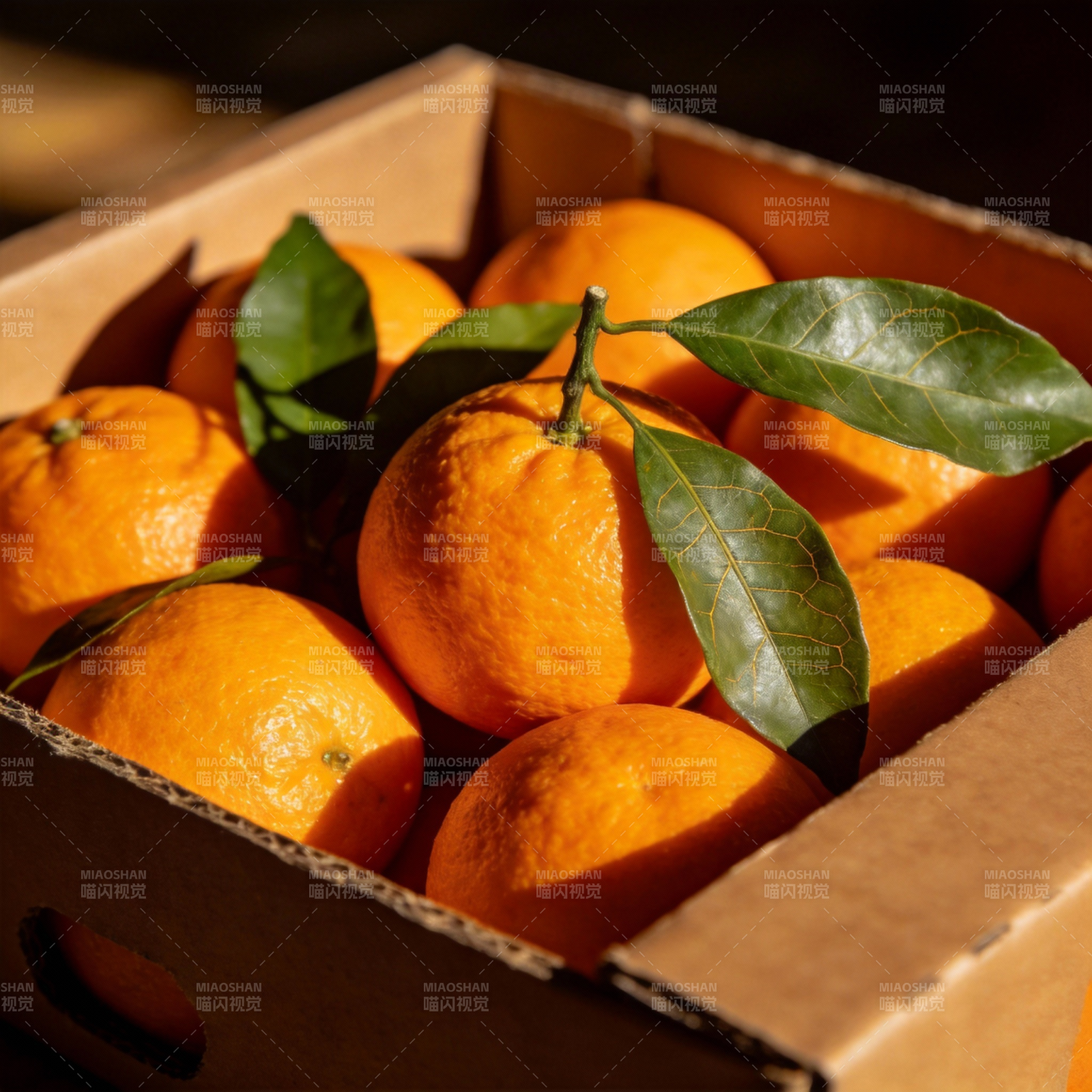 新鲜橙子满箱图片