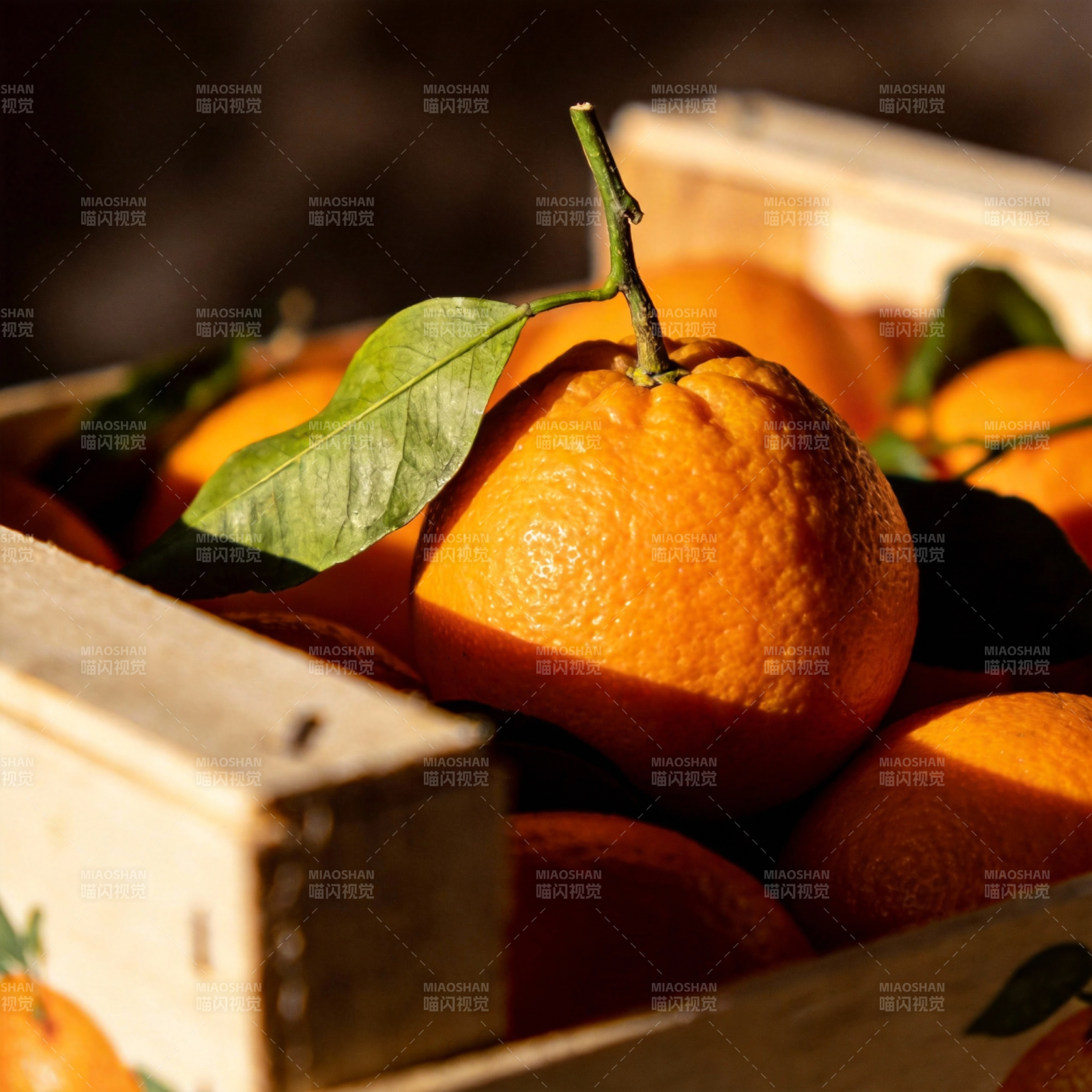 新鲜橙子满箱图片