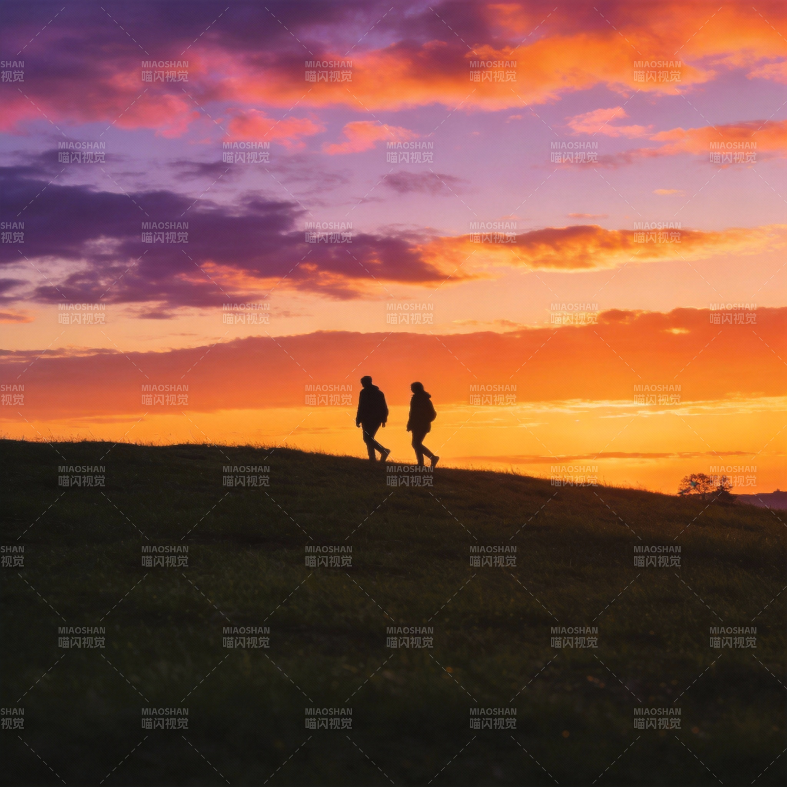 夕阳下的同行者图片