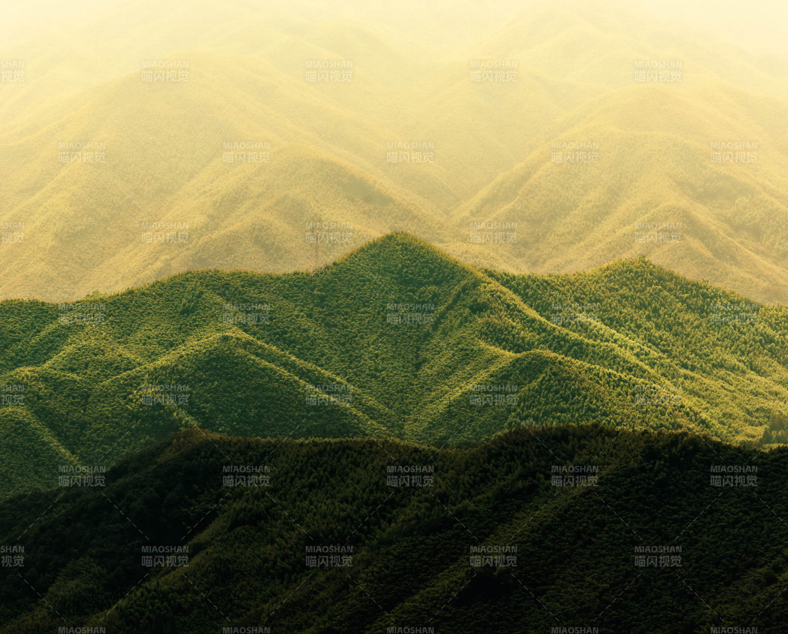 层峦叠翠 雾霭朦胧  莫干山图片