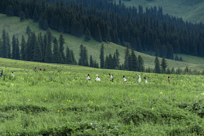 那拉提草原草原上的人图片